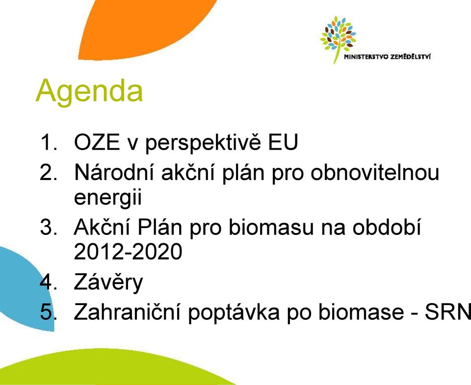 3. Akční Plán pro biomasu na období