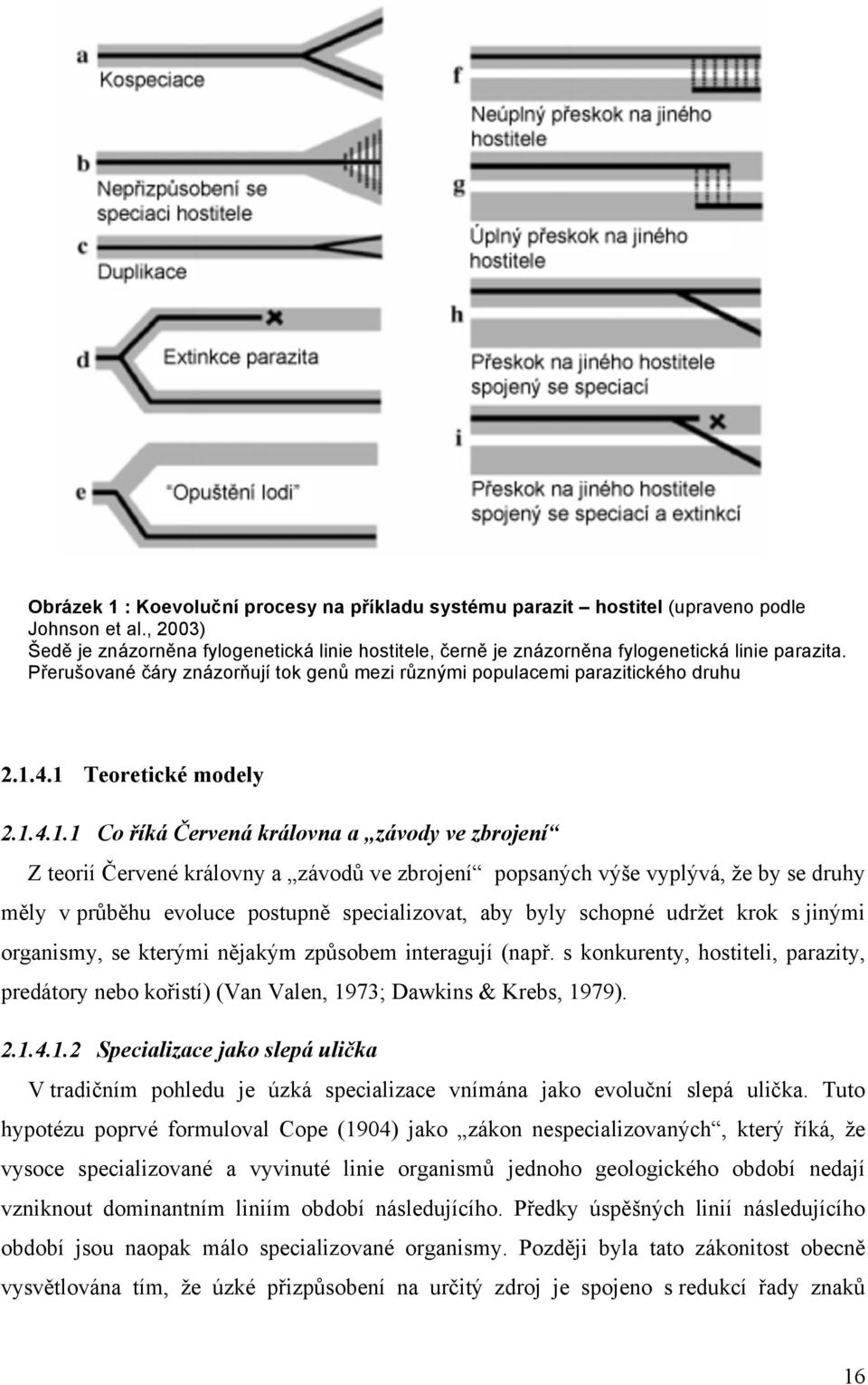 1 Teoretické modely 2.1.4.1.1 Co říká Červená královna a závody ve zbrojení Z teorií Červené královny a závodů ve zbrojení popsaných výše vyplývá, že by se druhy měly v průběhu evoluce postupně