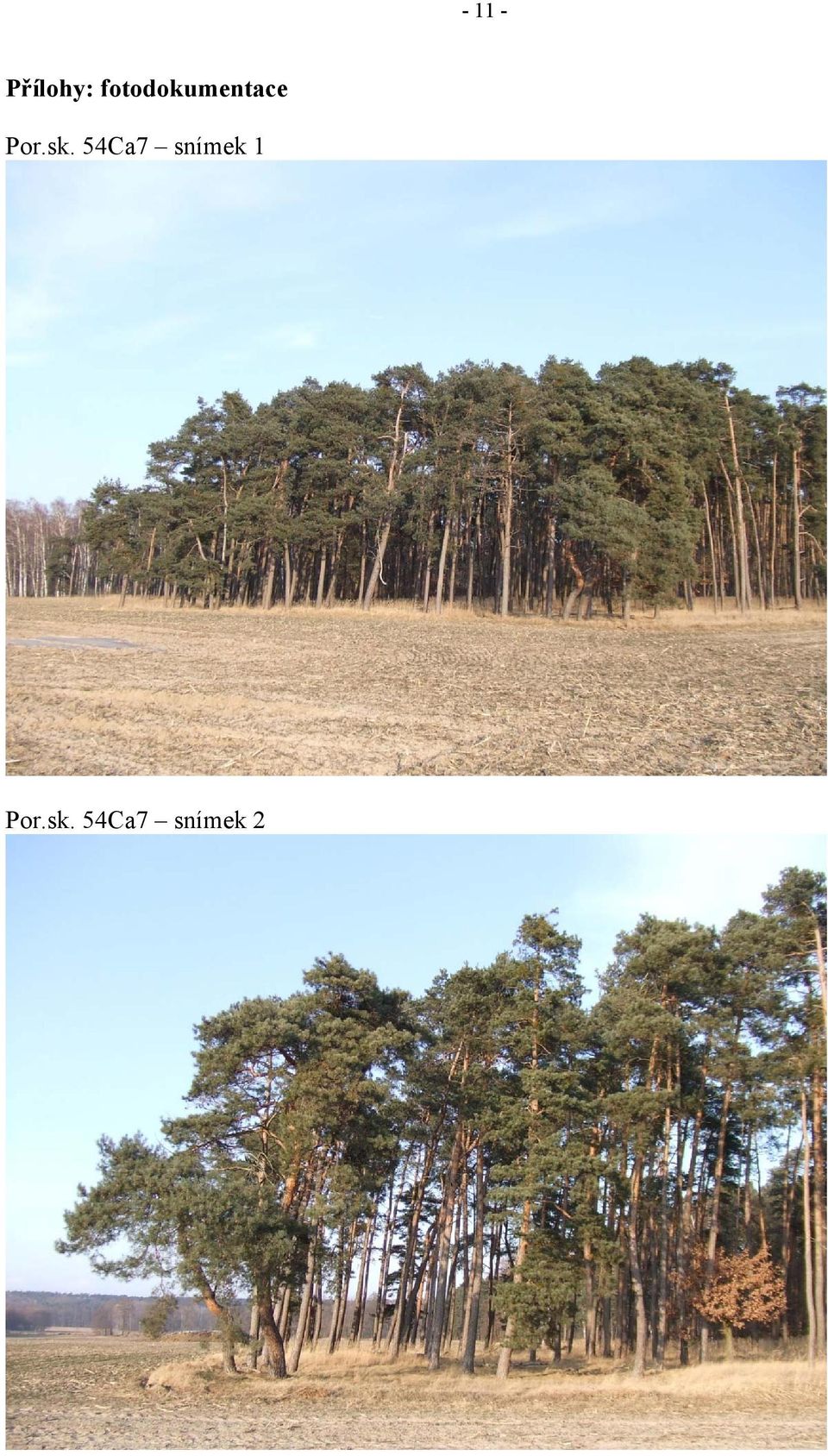 sk. 54Ca7 snímek 1