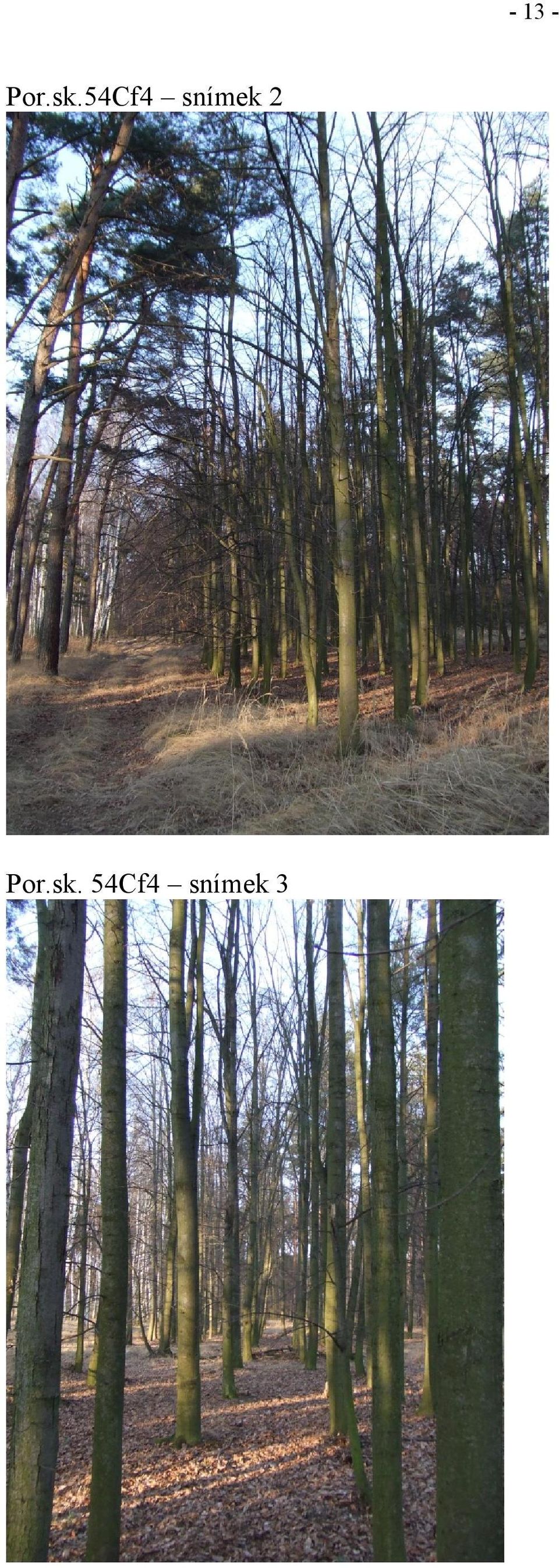 snímek 2 Por.