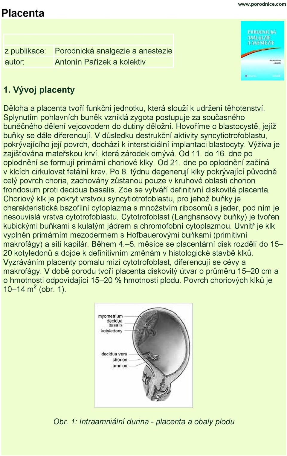 Splynutím pohlavních buněk vzniklá zygota postupuje za současného buněčného dělení vejcovodem do dutiny děložní. Hovoříme o blastocystě, jejíž buňky se dále diferencují.