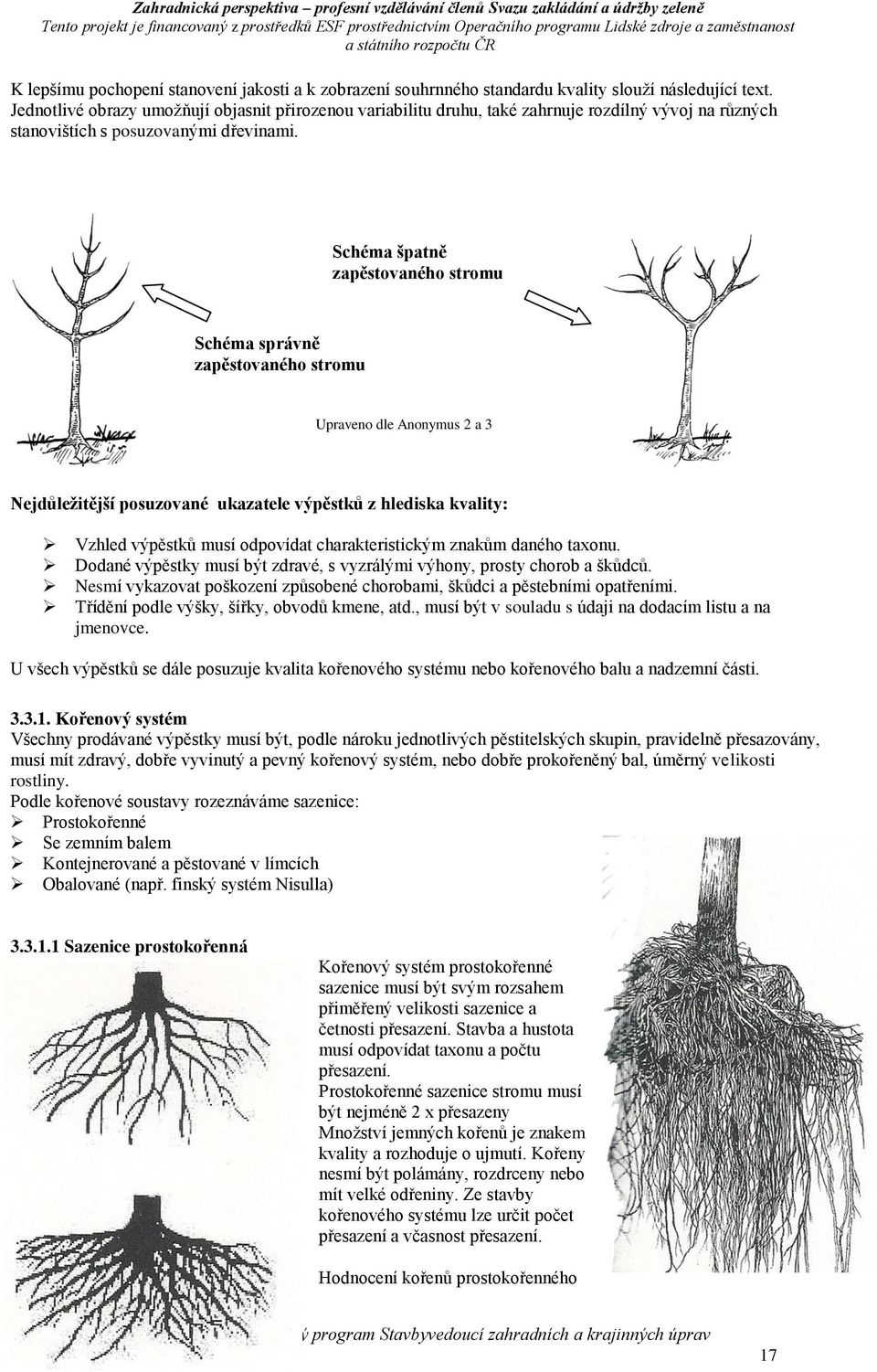 Schéma špatně zapěstovaného stromu Schéma správně zapěstovaného stromu Upraveno dle Anonymus 2 a 3 Nejdůležitější posuzované ukazatele výpěstků z hlediska kvality: Vzhled výpěstků musí odpovídat