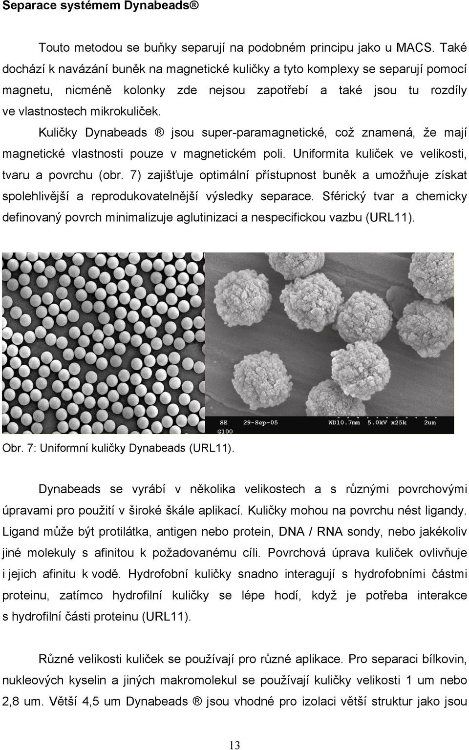 Kuličky Dynabeads jsou super-paramagnetické, což znamená, že mají magnetické vlastnosti pouze v magnetickém poli. Uniformita kuliček ve velikosti, tvaru a povrchu (obr.