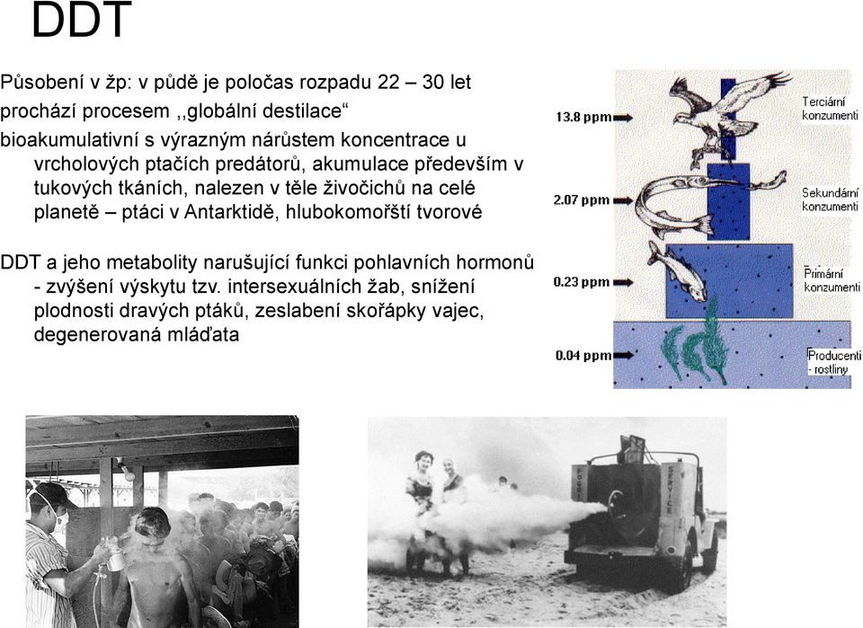 na celé planetě ptáci v Antarktidě, hlubokomořští tvorové DDT a jeho metabolity narušující funkci pohlavních hormonů -