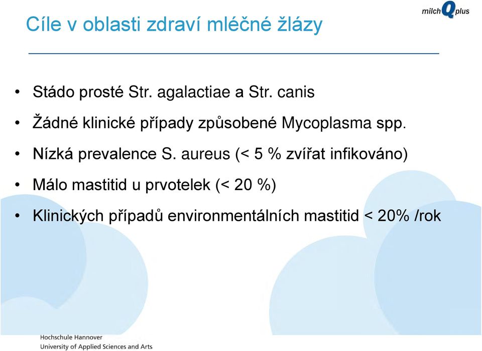 canis Žádné klinické případy způsobené Mycoplasma spp.