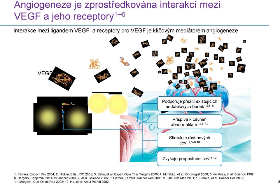 Hicklin, Ellis. JCO 2005; 3. Baka, et al. Expert Opin Ther Targets 2006; 4. Morabito, et al. Oncologist 2006; 5. de Vries, et al. Science 1992; 6. Bergers, Benjamin.