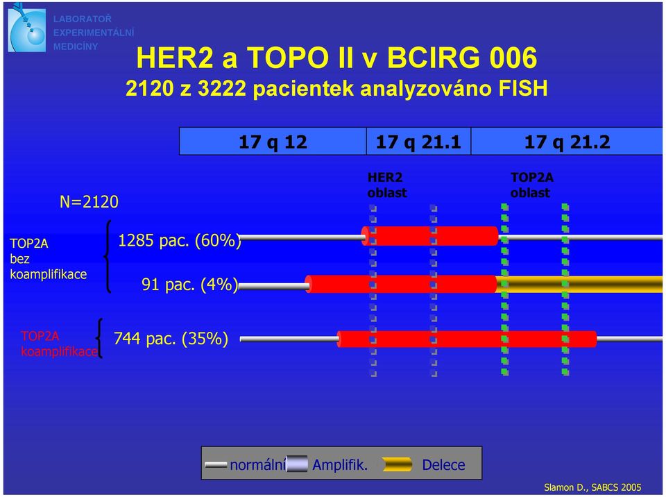 2 N=2120 HER2 oblast TOP2A oblast TOP2A bez koamplifikace 1285