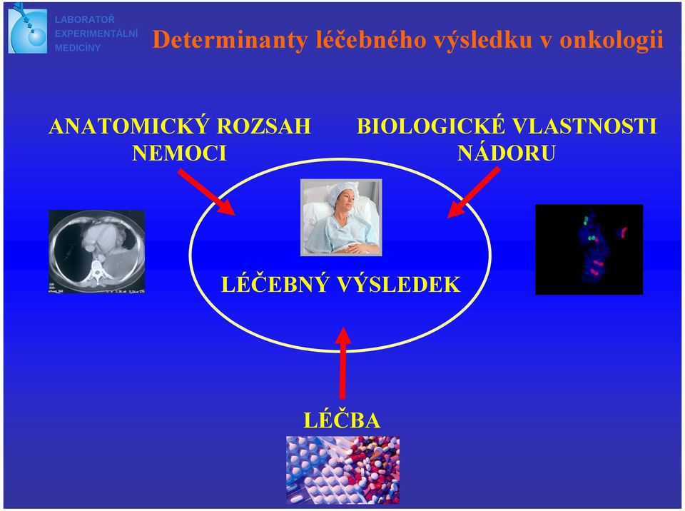 ANATOMICKÝ ROZSAH NEMOCI