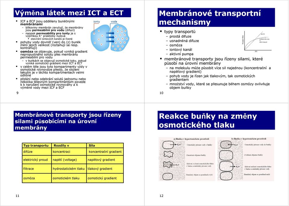 kontrahují) osmóza se objevuje, pokud vzniká gradient nepropustného solutu přes membránu permeabilní pro vodu v buňkách se objevují osmotické toky, pokud vzniká osmotický gradient mezi ICT a ECT v