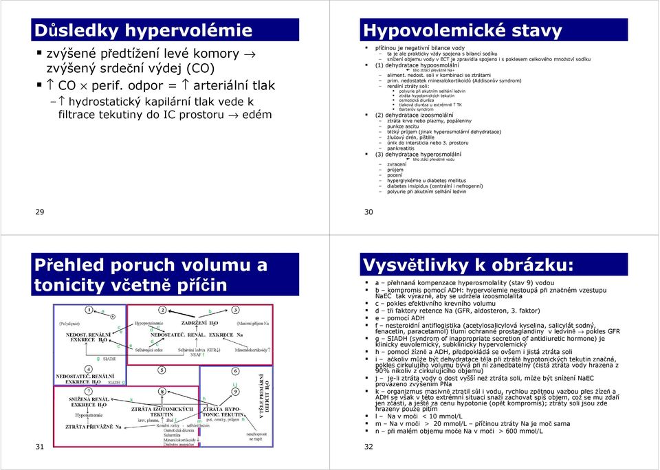 sodíku snížení objemu vody v ECT je zpravidla spojeno i s poklesem celkového množství sodíku (1) dehydratace hypoosmolální tělo ztrácí převážně Na+ aliment. nedost. soli v kombinaci se ztrátami prim.