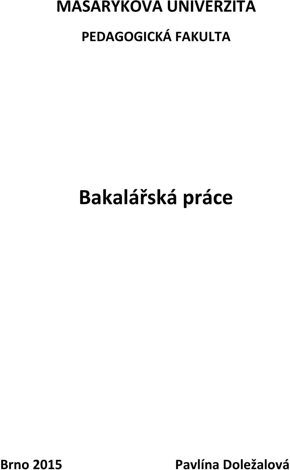Bakalářská práce Brno