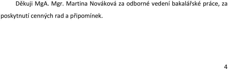 vedení bakalářské práce, za