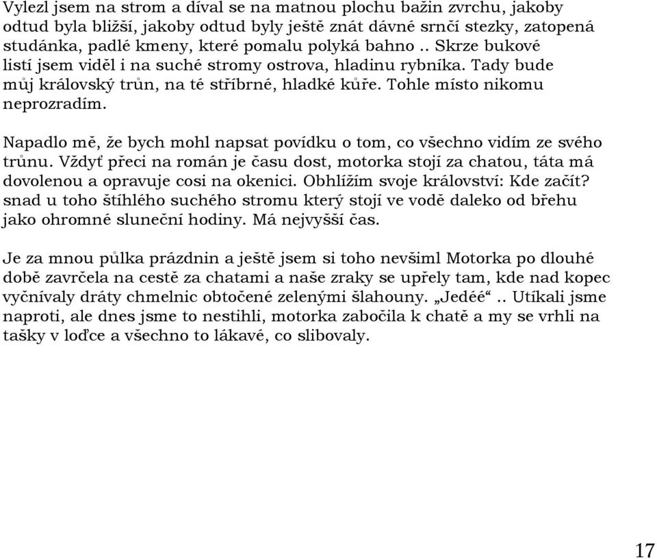 Napadlo mě, že bych mohl napsat povídku o tom, co všechno vidím ze svého trůnu. Vždyť přeci na román je času dost, motorka stojí za chatou, táta má dovolenou a opravuje cosi na okenici.