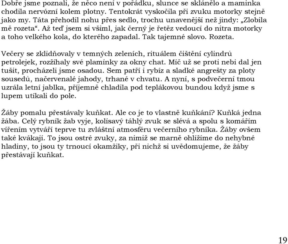 Tak tajemné slovo. Rozeta. Večery se zklidňovaly v temných zeleních, rituálem čištění cylindrů petrolejek, rozžíhaly své plamínky za okny chat.