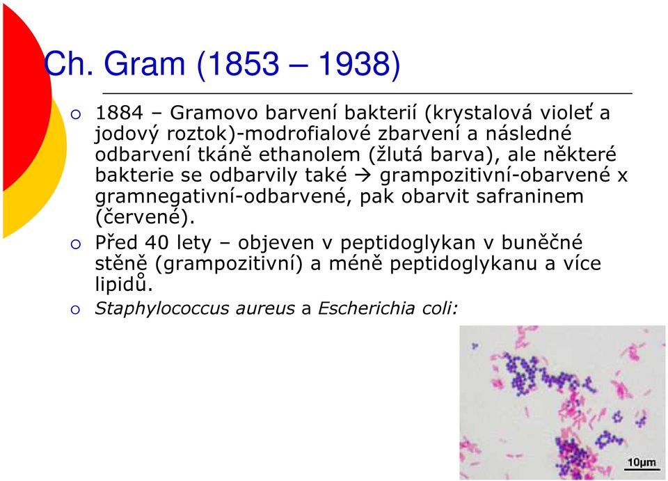 grampozitivní-obarvené x gramnegativní-odbarvené, pak obarvit safraninem (červené).