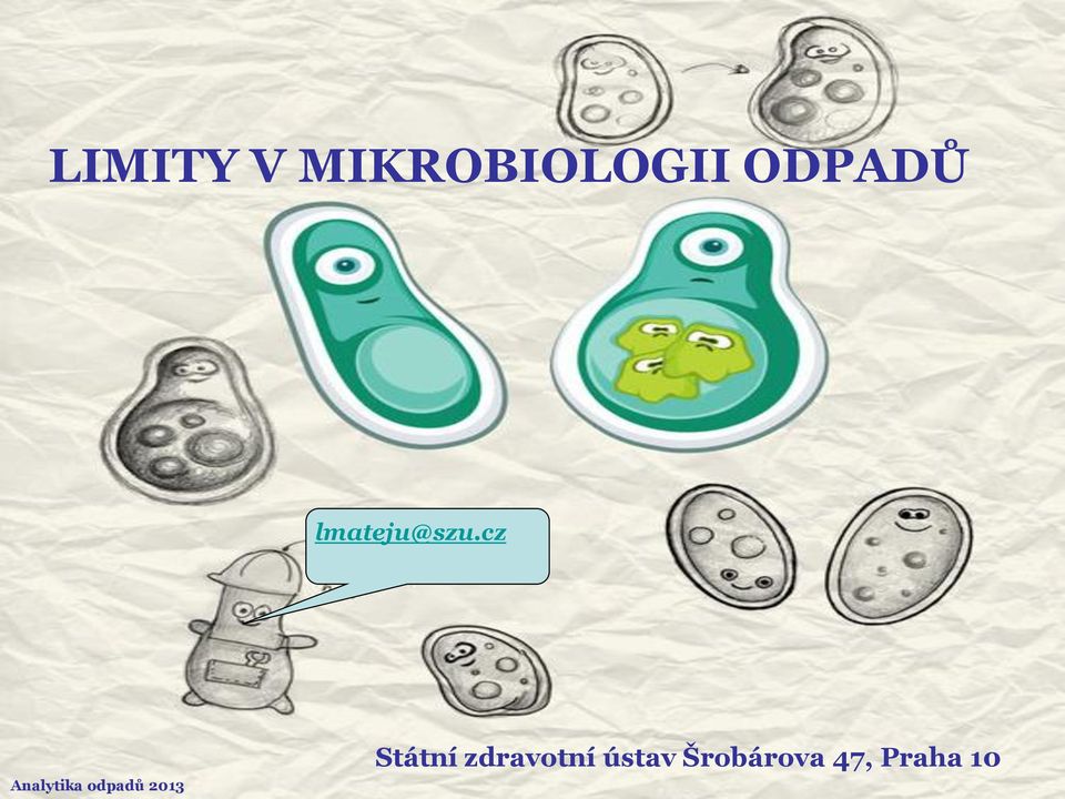 cz Analytika odpadů 2013 Státní