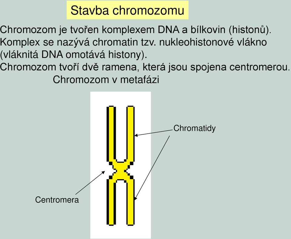 nukleohistonové vlákno (vláknitá DNA omotává histony).