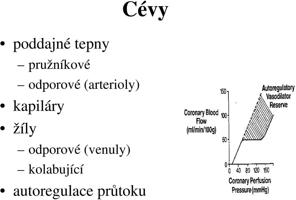 kapiláry žíly odporové