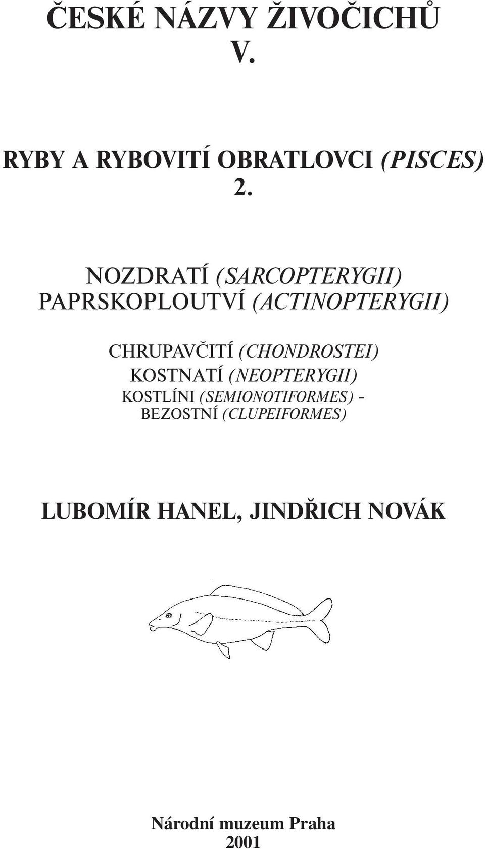 (CHONDROSTEI) KOSTNATÍ (NEOPTERYGII) KOSTLÍNI (SEMIONOTIFORMES)