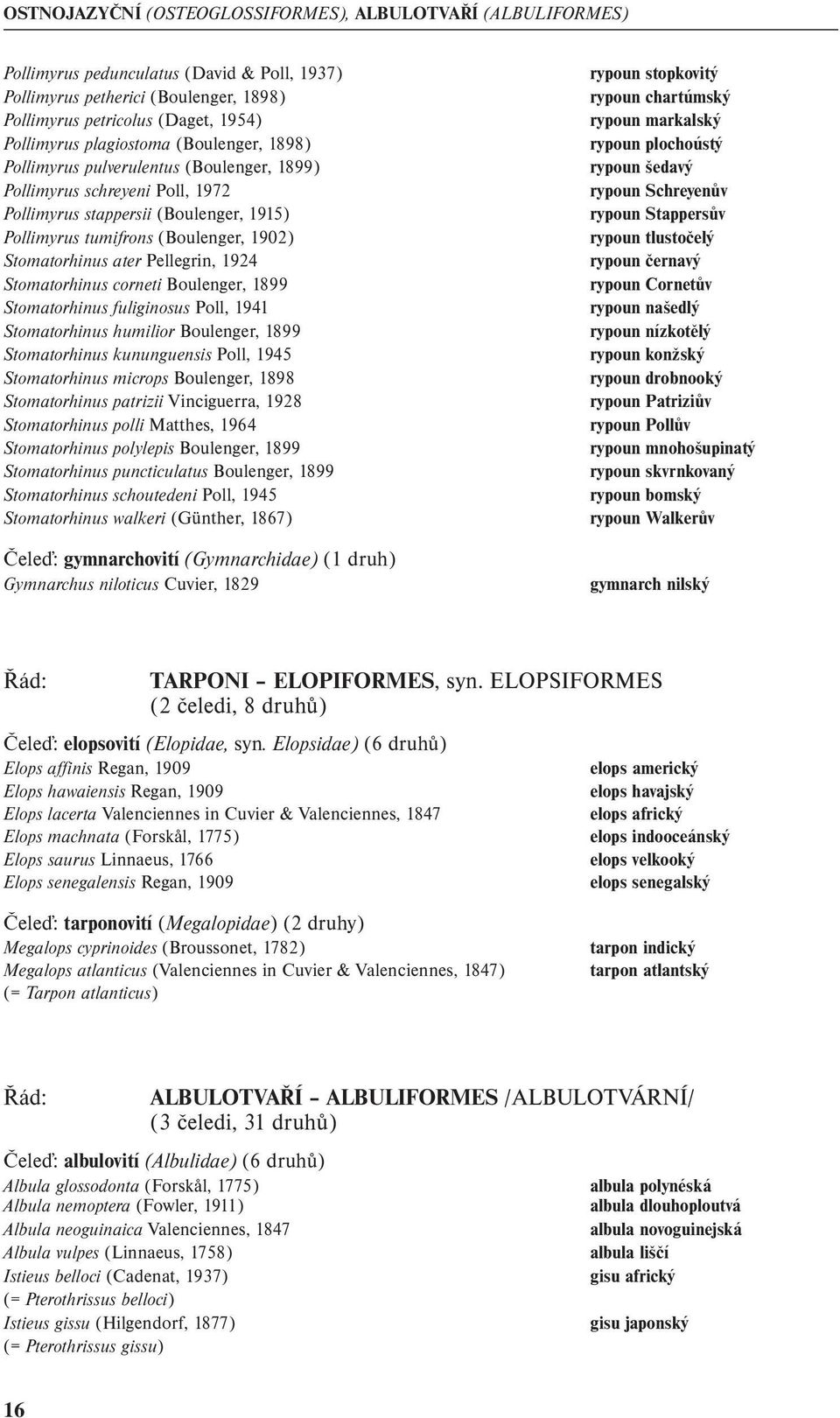 ater Pellegrin, 1924 Stomatorhinus corneti Boulenger, 1899 Stomatorhinus fuliginosus Poll, 1941 Stomatorhinus humilior Boulenger, 1899 Stomatorhinus kununguensis Poll, 1945 Stomatorhinus microps