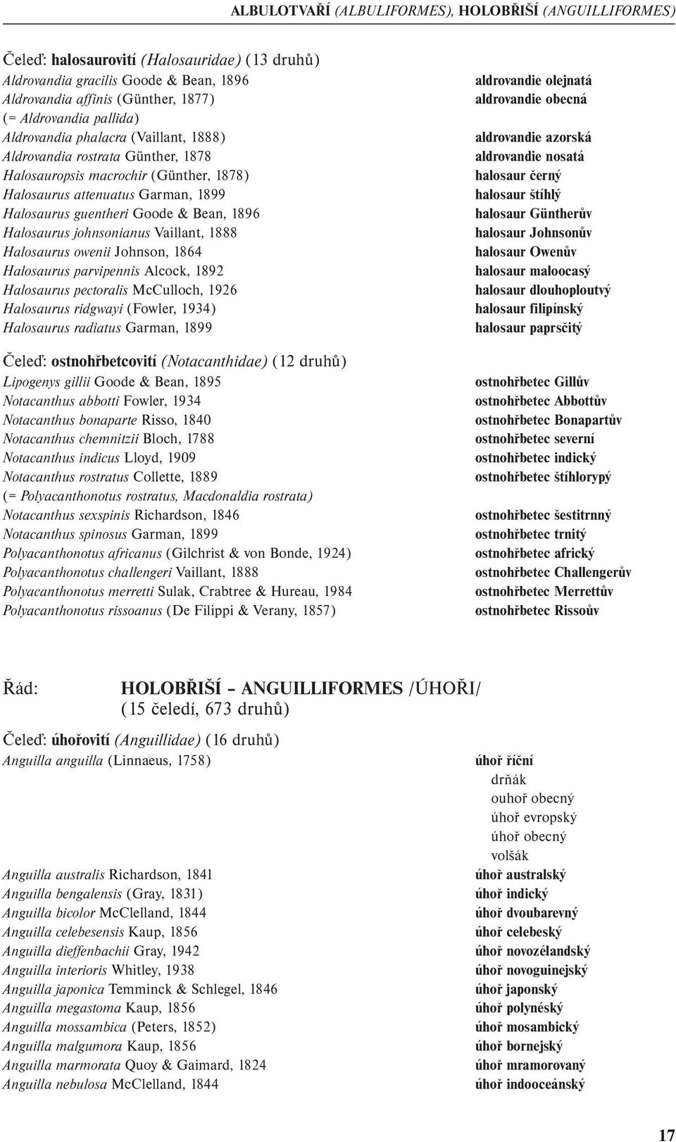 Halosaurus johnsonianus Vaillant, 1888 Halosaurus owenii Johnson, 1864 Halosaurus parvipennis Alcock, 1892 Halosaurus pectoralis McCulloch, 1926 Halosaurus ridgwayi (Fowler, 1934) Halosaurus radiatus