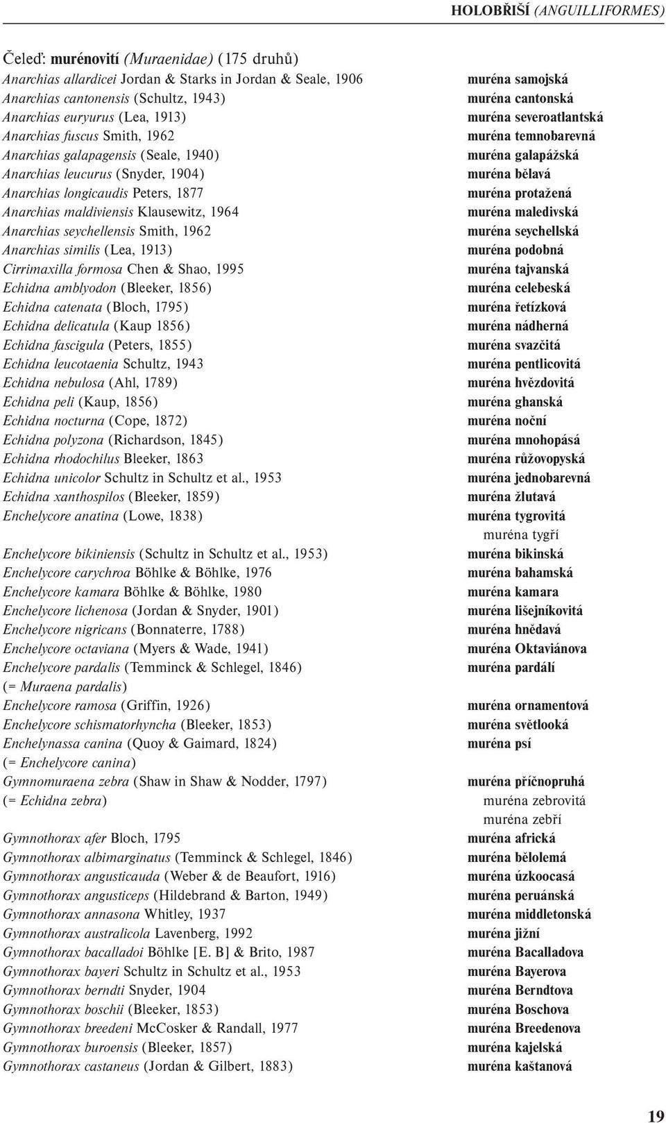 1904) muréna bělavá Anarchias longicaudis Peters, 1877 muréna protažená Anarchias maldiviensis Klausewitz, 1964 muréna maledivská Anarchias seychellensis Smith, 1962 muréna seychellská Anarchias