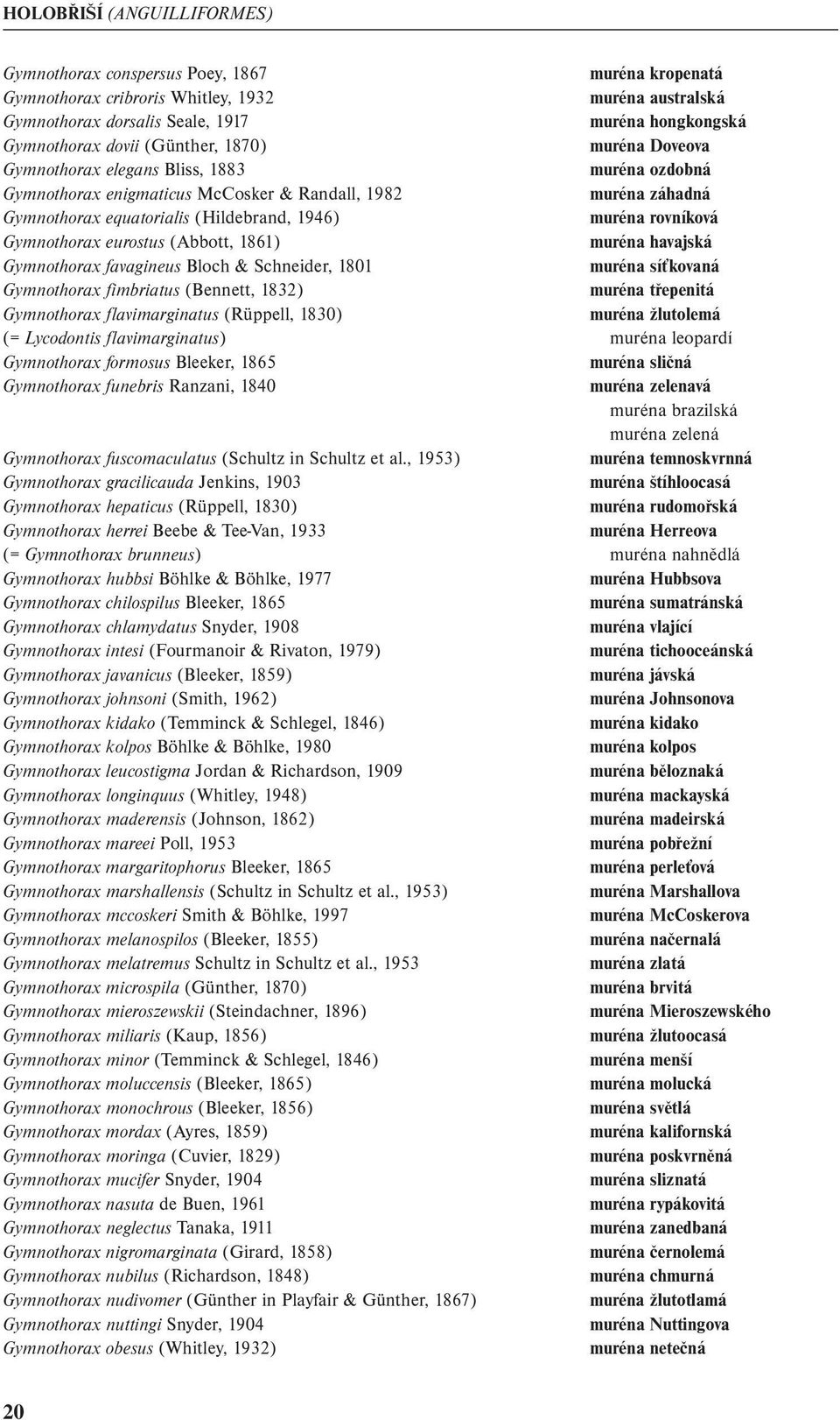 rovníková Gymnothorax eurostus (Abbott, 1861) muréna havajská Gymnothorax favagineus Bloch & Schneider, 1801 muréna síťkovaná Gymnothorax fimbriatus (Bennett, 1832) muréna třepenitá Gymnothorax