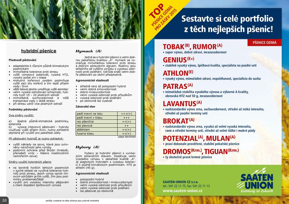 podmiňuje vyšší sací sílu kořenů a tím lepší příjem vody i živin větší listová plocha umožňuje vyšší asimilaci velmi odnožovací schopnost, hybridy tvoří 15 20 plodných odnoží mimořádná suchovzdornost