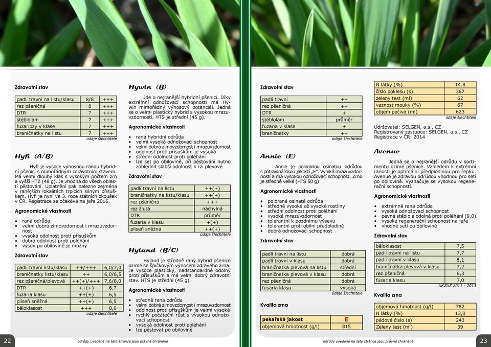 8 číslo poklesu (s) 367 zeleny test (ml) 62 vaznost mouky (%) 67 objem pečiva (ml) 623 údaje šlechtitele fuzariozy v klase 7 +++ braničnatky na listu 7 +++ údaje šlechtitele Hyfi (A/B) Hyfi je vysoce