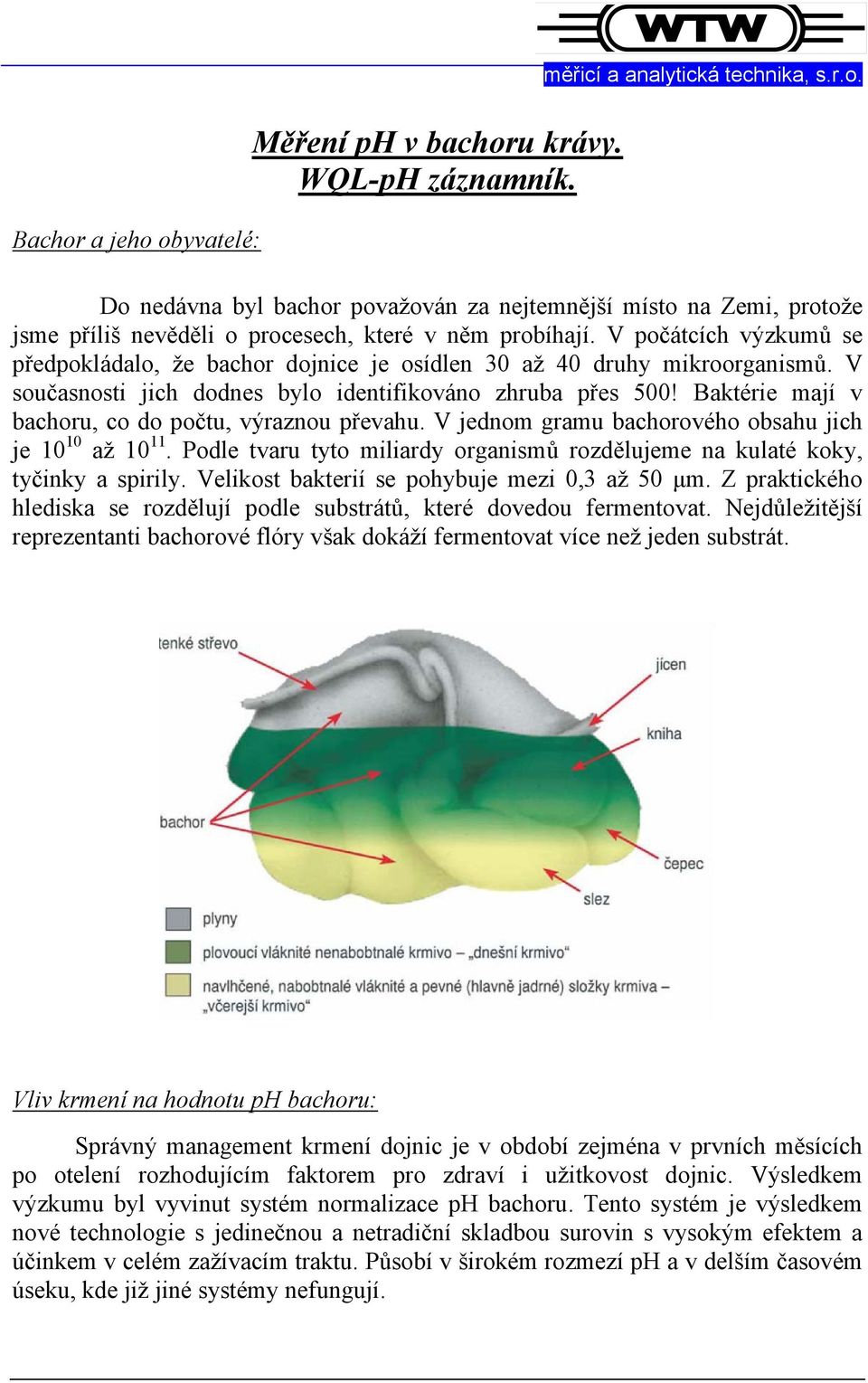 Baktérie mají v bachoru, co do počtu, výraznou převahu. V jednom gramu bachorového obsahu jich je 10 10 až 10 11. Podle tvaru tyto miliardy organismů rozdělujeme na kulaté koky, tyčinky a spirily.