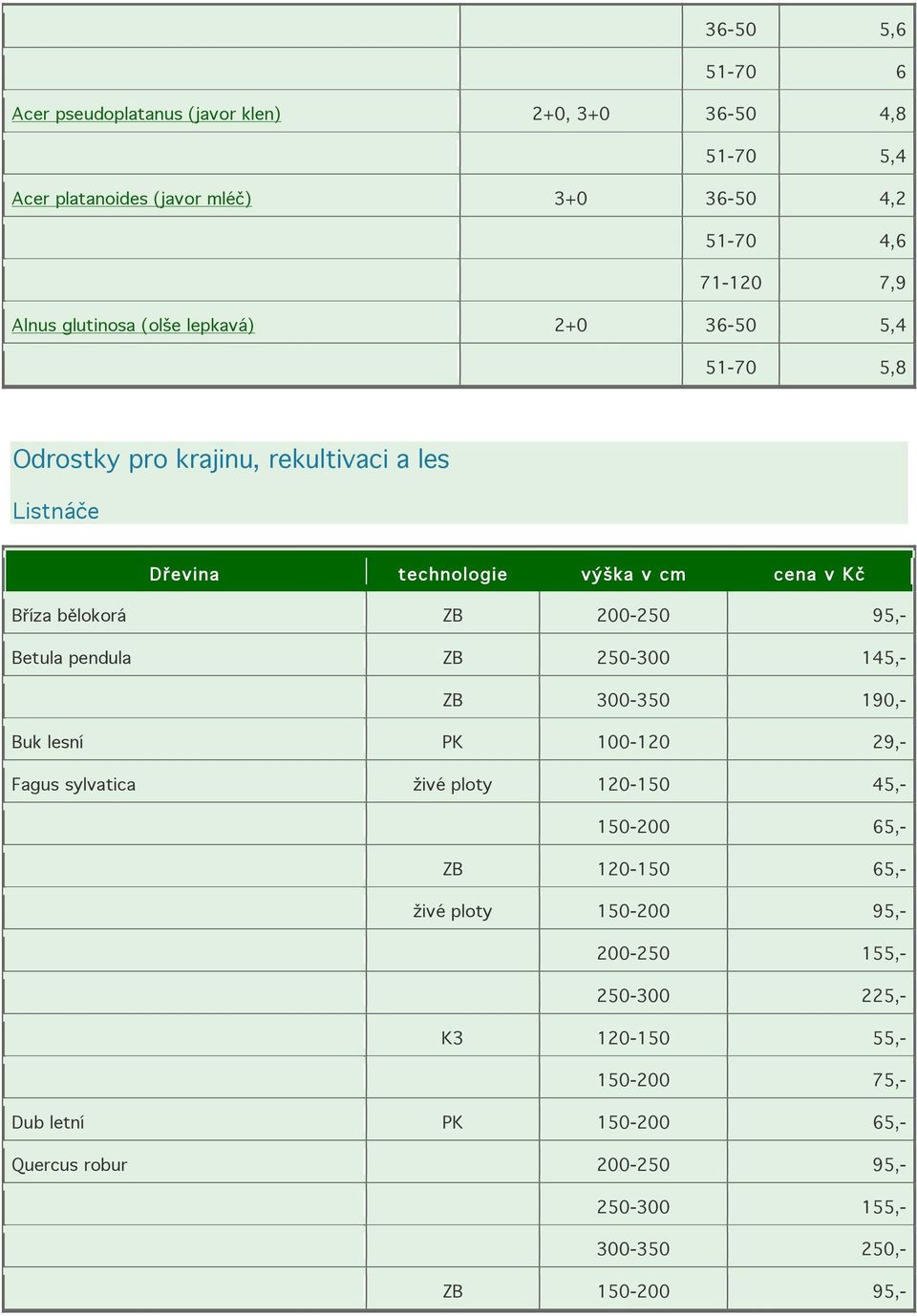 Betula pendula ZB 250-300 145,- ZB 300-350 190,- Buk lesní PK 100-120 29,- Fagus sylvatica živé ploty 120-150 45,- 150-200 65,- ZB 120-150 65,- živé ploty