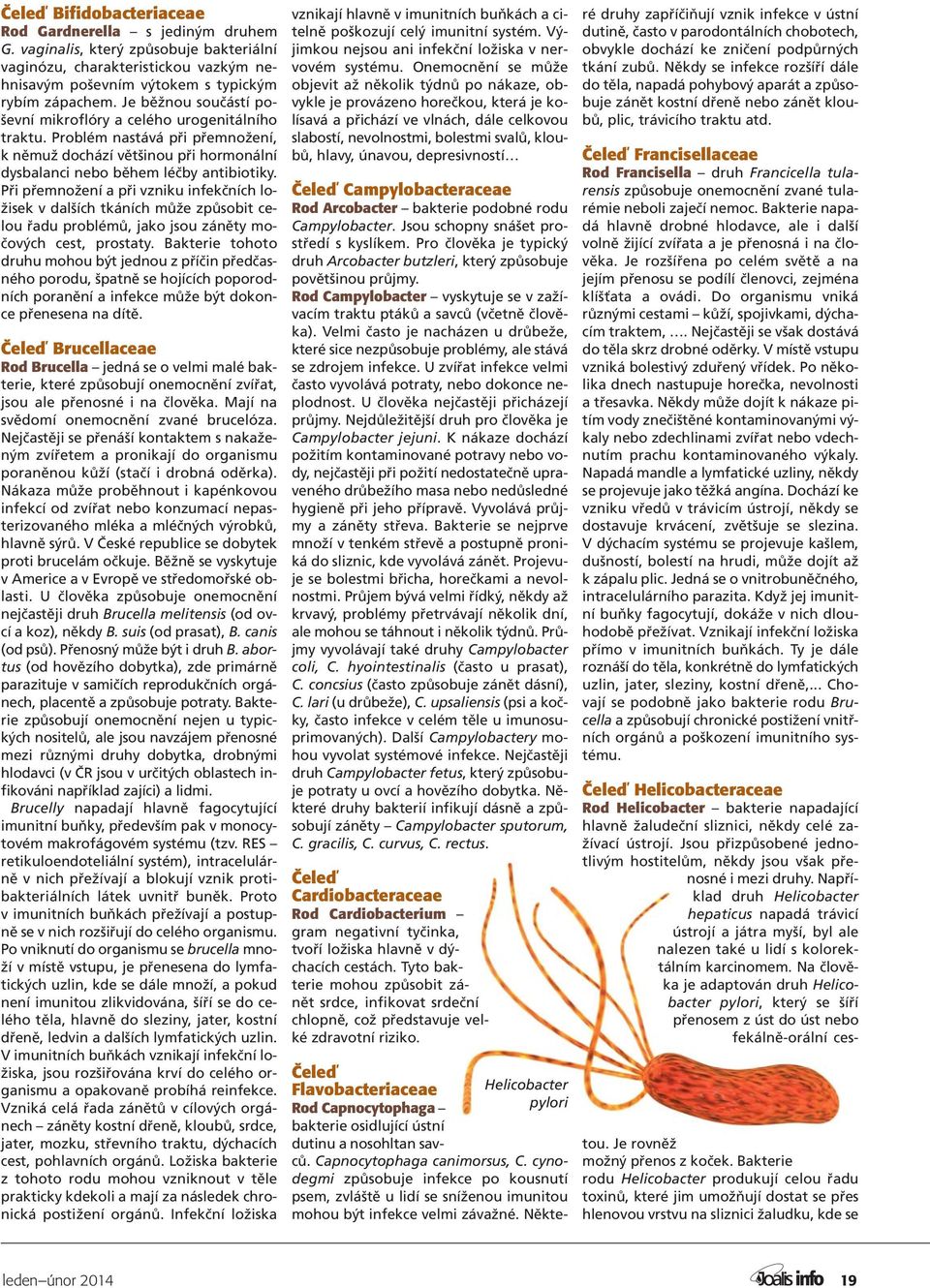 Při přemnožení a při vzniku infekčních ložisek v dalších tkáních může způsobit celou řadu problémů, jako jsou záněty močových cest, prostaty.