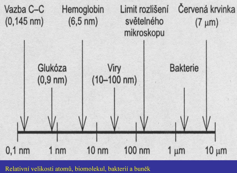 velikosti atomů,