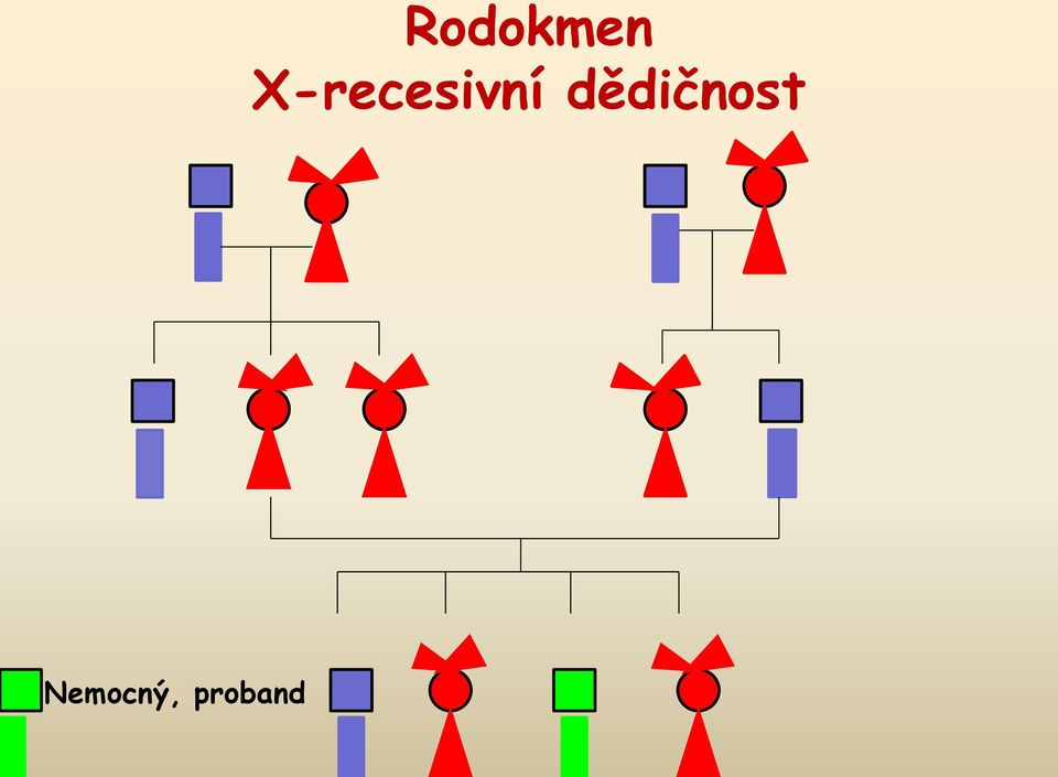 dědičnost