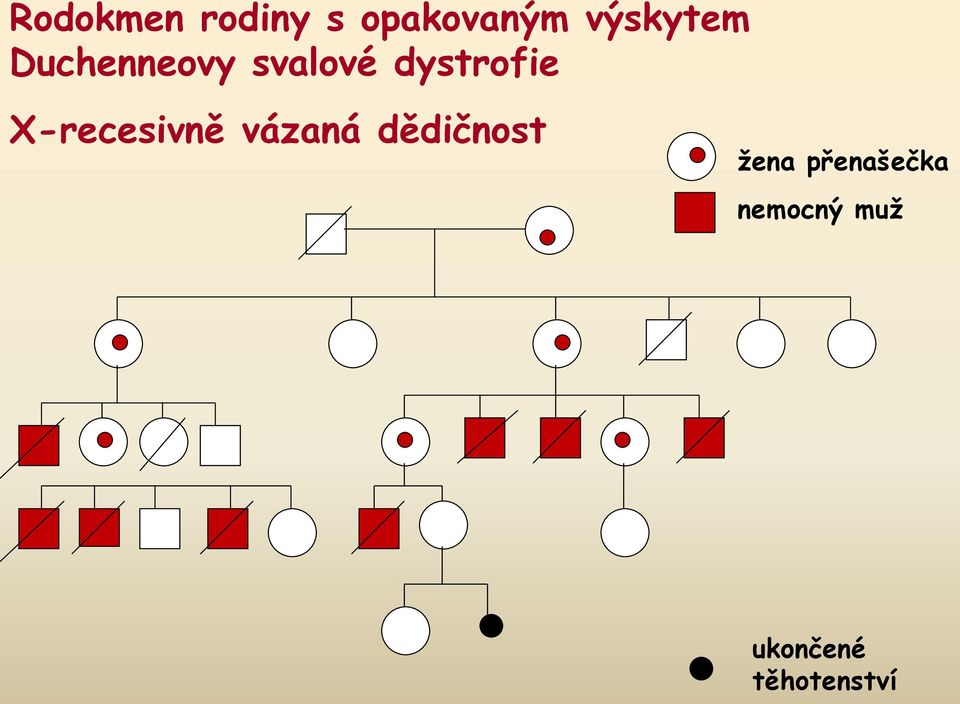 dystrofie X-recesivně vázaná