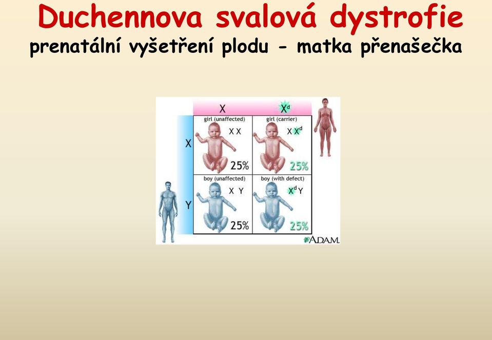 prenatální