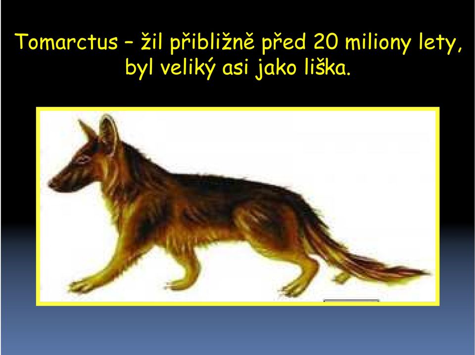 miliony lety, byl