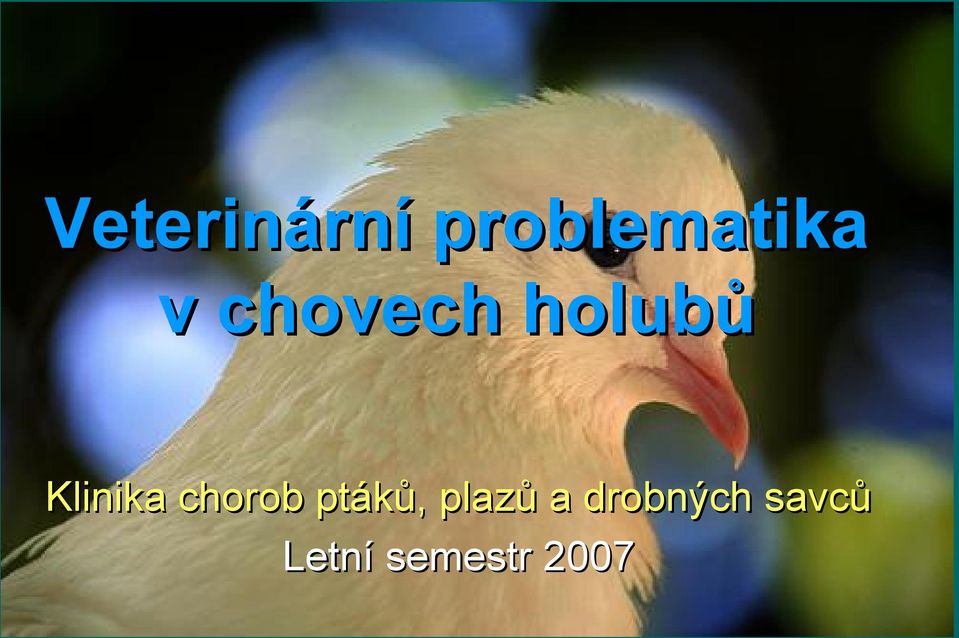 chorob ptáků, plazů a