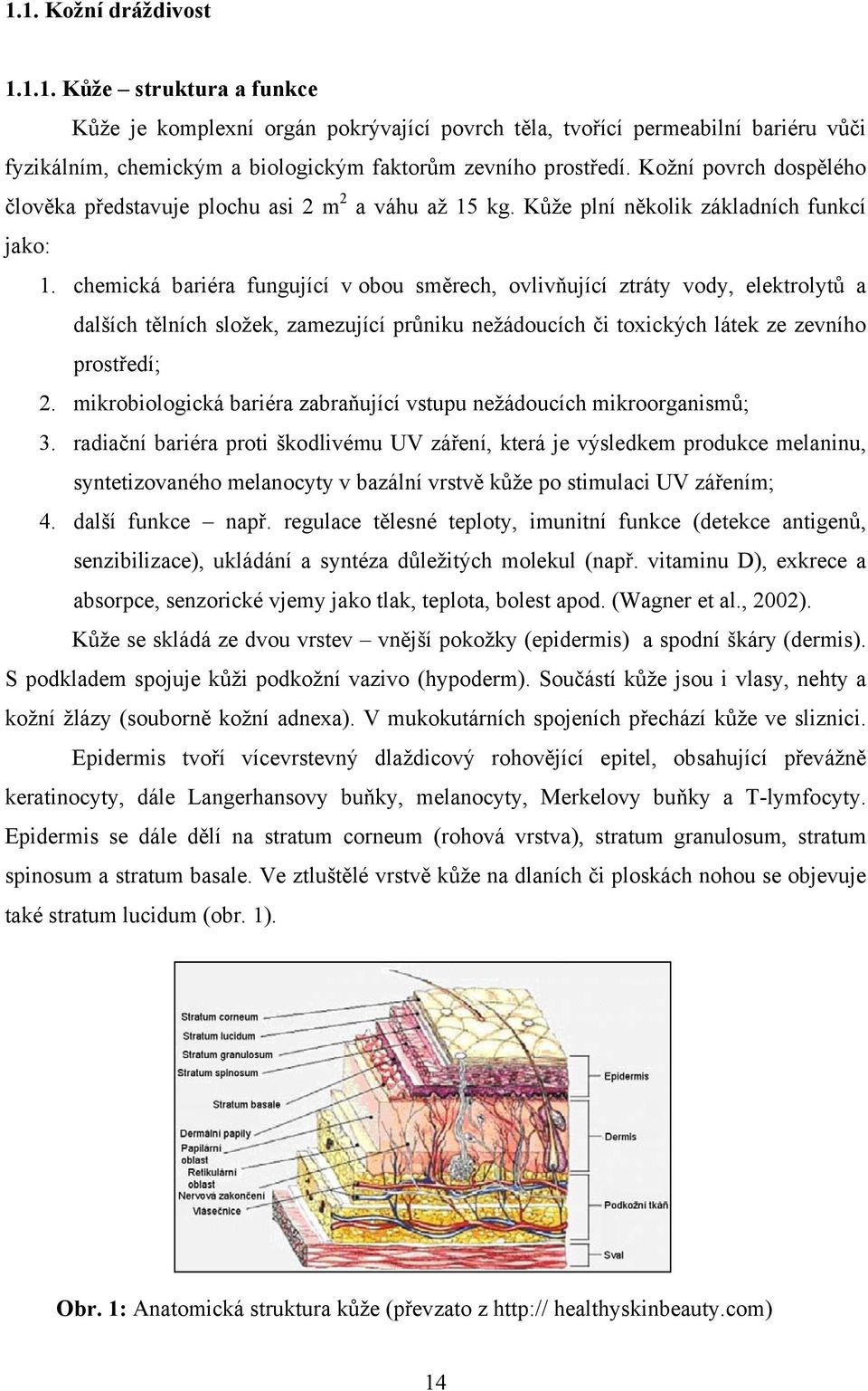 chemická bariéra fungující v obou směrech, ovlivňující ztráty vody, elektrolytů a dalších tělních složek, zamezující průniku nežádoucích či toxických látek ze zevního prostředí; 2.
