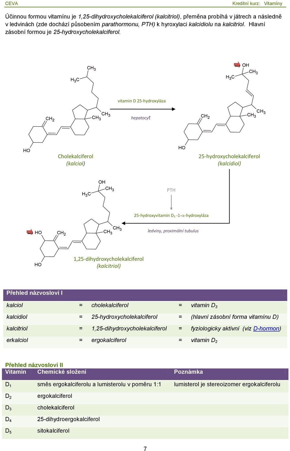 vitamin D 25-hydroxyláza C 2 hepatocyt C 2 Cholekalciferol (kalciol) 25-hydroxycholekalciferol (kalcidiol) PT 25-hydroxyvitamin D 3-1- -hydroxyláza C 2 ledviny, proximální tubulus