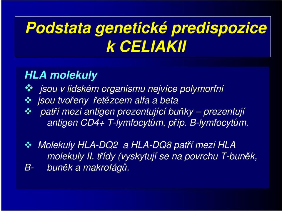 buňky prezentují antigen CD4+ T-lymfocytům, příp. B-lymfocytům.