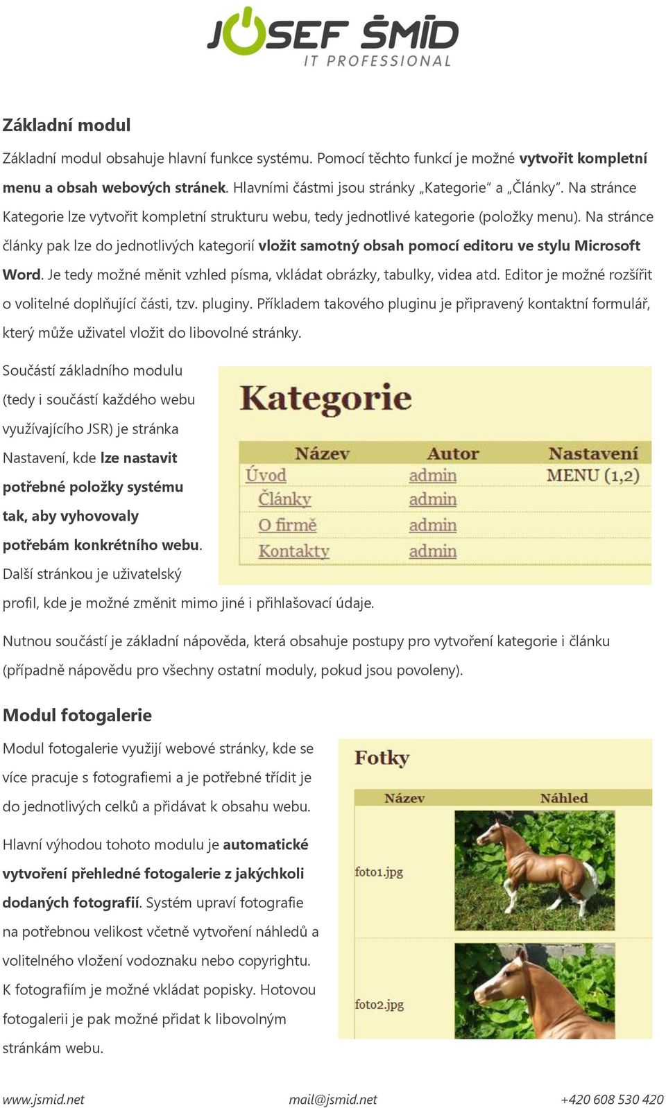 Na stránce články pak lze do jednotlivých kategorií vložit samotný obsah pomocí editoru ve stylu Microsoft Word. Je tedy možné měnit vzhled písma, vkládat obrázky, tabulky, videa atd.