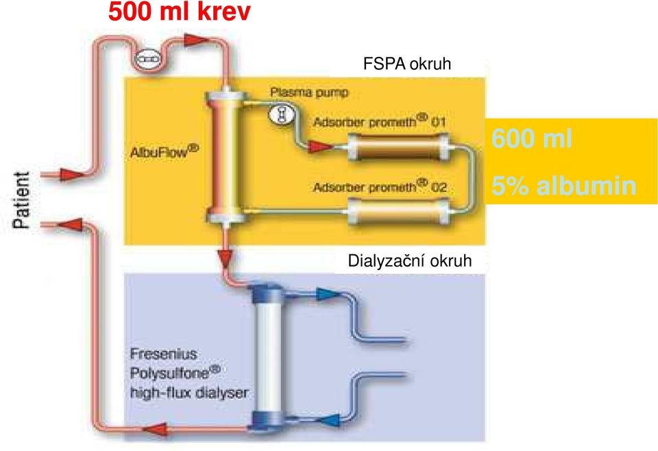 ml 5% albumin