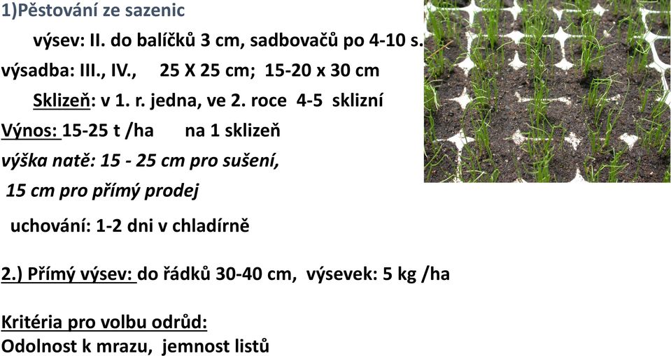 roce 4-5 sklizní Výnos: 15-25 t /ha na 1 sklizeň výška natě: 15-25 cm pro sušení, 15 cm pro přímý