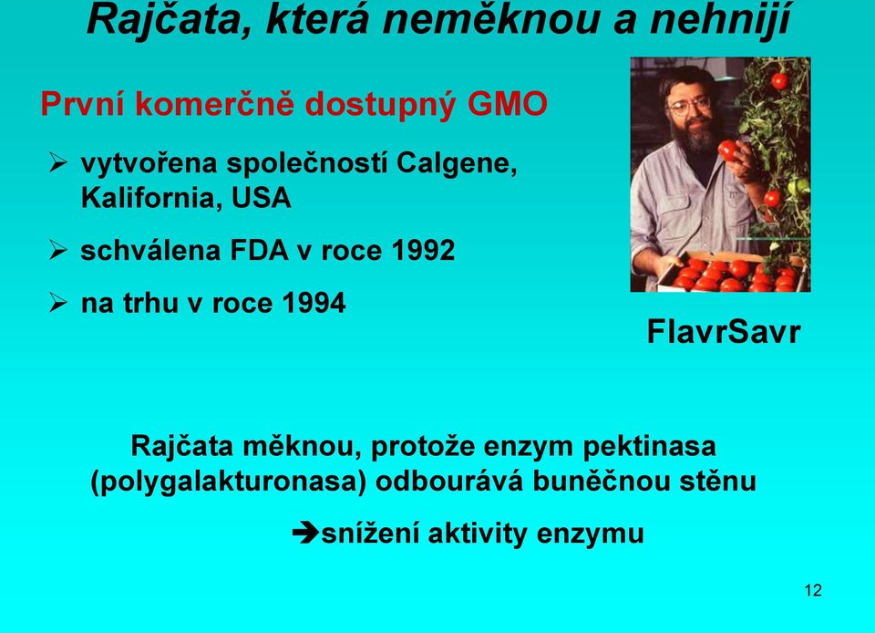 1992 na trhu v roce 1994 FlavrSavr Rajčata měknou, protože enzym
