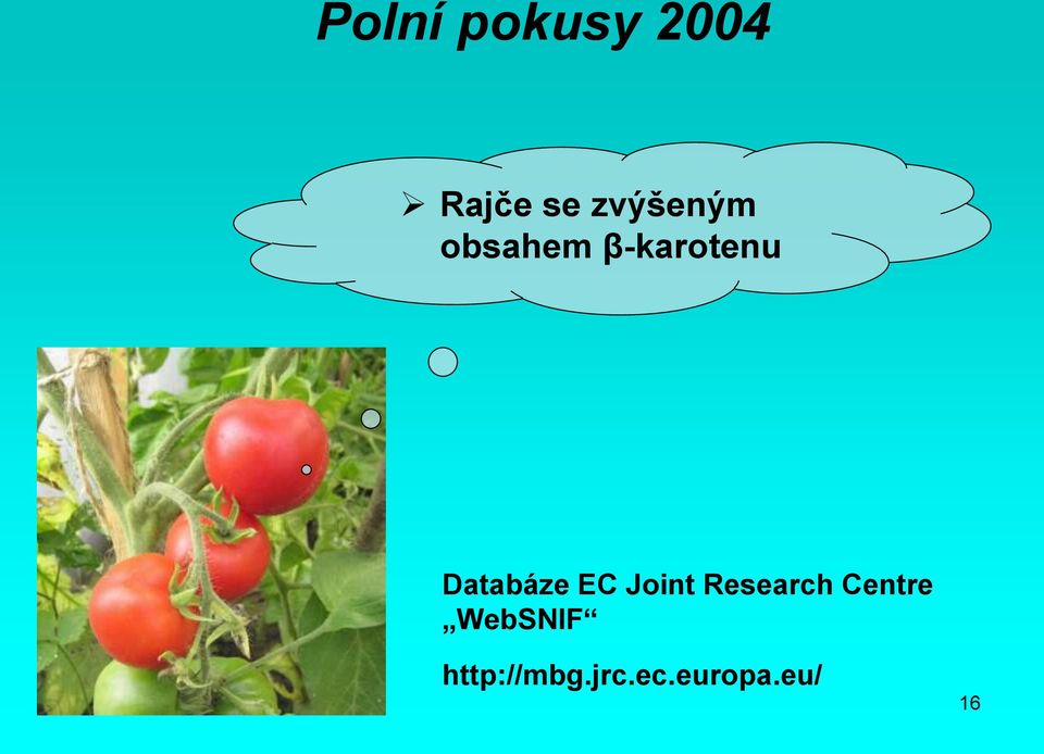 Databáze EC Joint Research