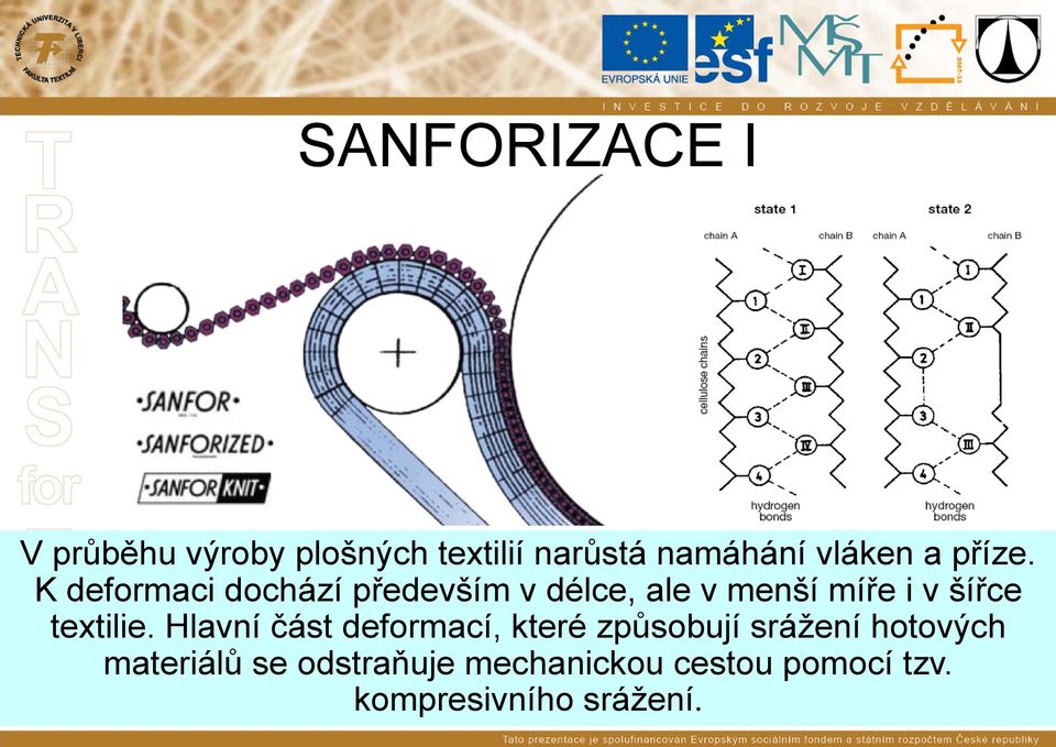 K deformaci dochází především v délce, ale v menší míře i v šířce