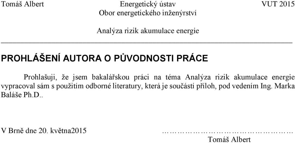 odborné literatury, která je součástí příloh, pod vedením