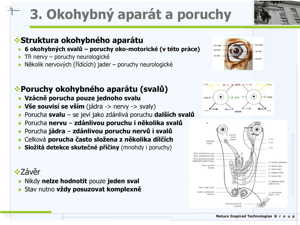 svalu se jeví jako zdánlivá poruchu dalších svalů Porucha nervu zdánlivou poruchu i několika svalů Porucha jádra zdánlivou poruchu nervů i svalů Celková porucha