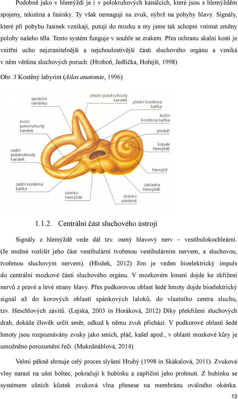Přes ochranu skalní kosti je vnitřní ucho nejzranitelnější a nejchoulostivější částí sluchového orgánu a vzniká v něm většina sluchových poruch. (Hroboň, Jedlička, Hořejší, 1998) Obr.